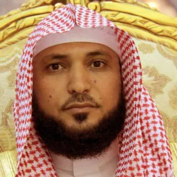 ماهر المعيقلي